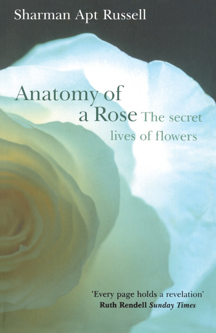 ANATOMY OF A ROSE