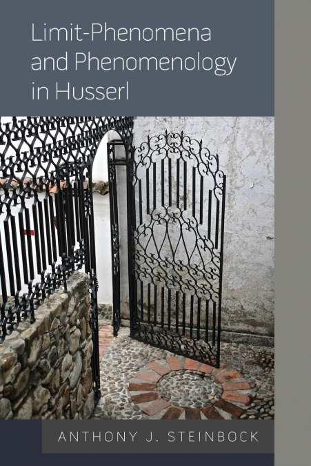 LIMIT-PHENOMENA AND PHENOMENOLOGY IN HUSSERL