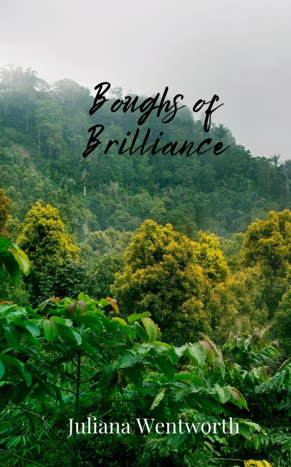 BOUGHS OF BRILLIANCE
