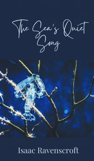 THE SEA?S QUIET SONG