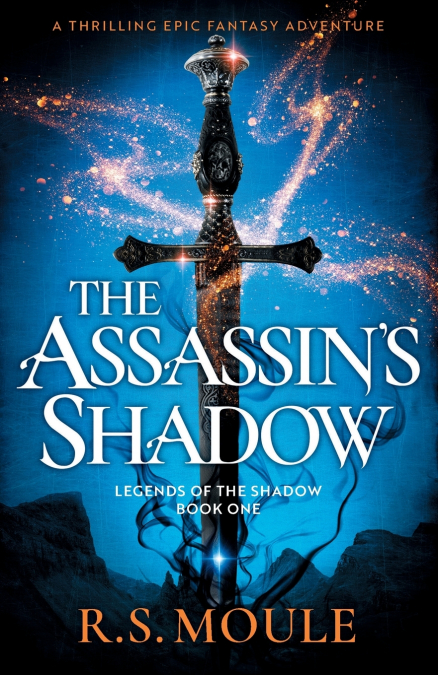 THE ASSASSIN?S SHADOW