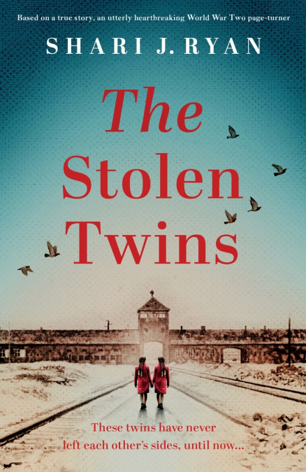 THE STOLEN TWINS
