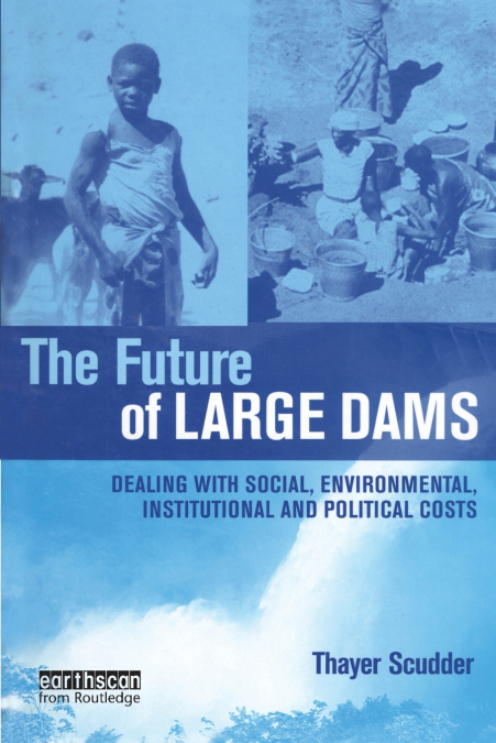 THE FUTURE OF LARGE DAMS