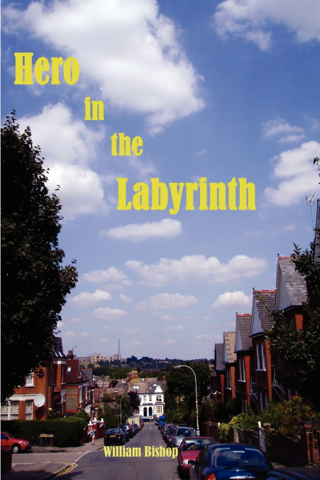 HERO IN THE LABYRINTH