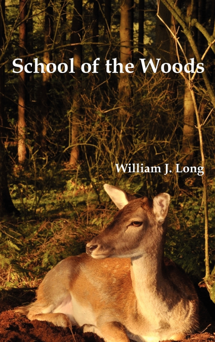 SCHOOL OF THE WOODS