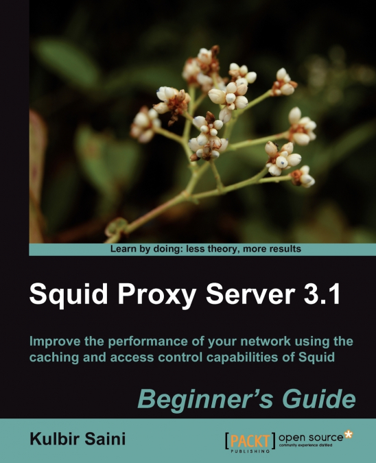 SQUID PROXY SERVER 3.1