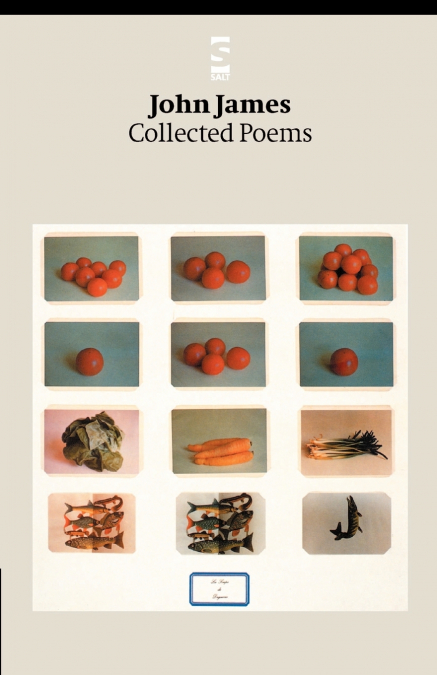 COLLECTED POEMS