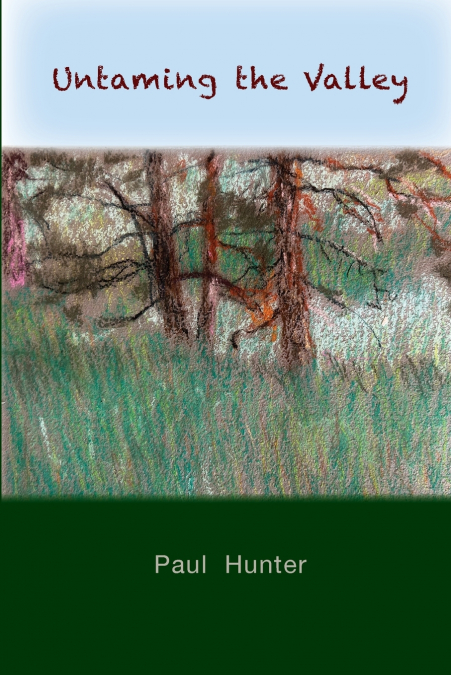 UNTAMING THE VALLEY