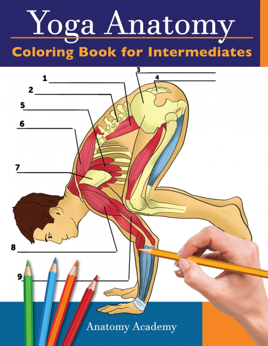 YOGA ANATOMY COLORING BOOK FOR INTERMEDIATES