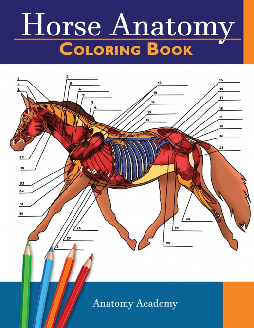 HORSE ANATOMY COLORING BOOK