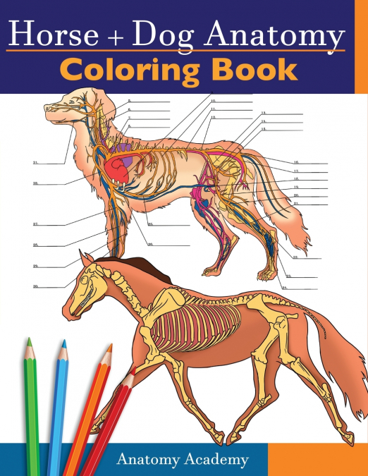 HORSE + DOG ANATOMY COLORING BOOK