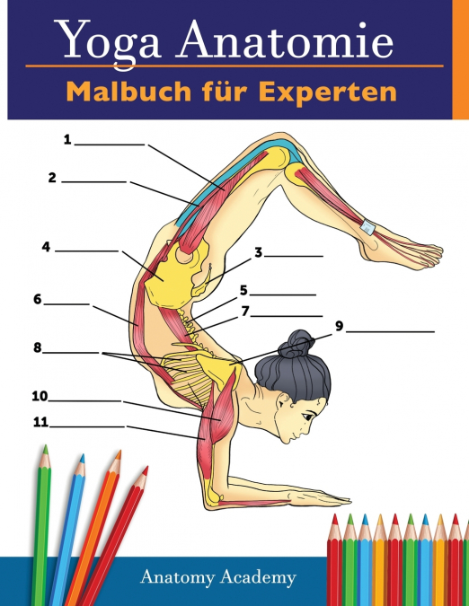 YOGA-ANATOMIE-MALBUCH FUR EXPERTEN