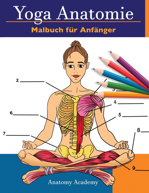YOGA ANATOMIE MALBUCH FUR ANFANGER