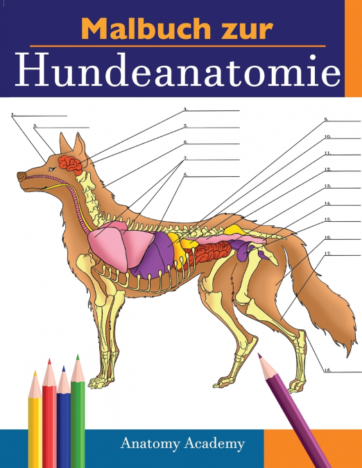 MALBUCH ZUR HUNDEANATOMIE