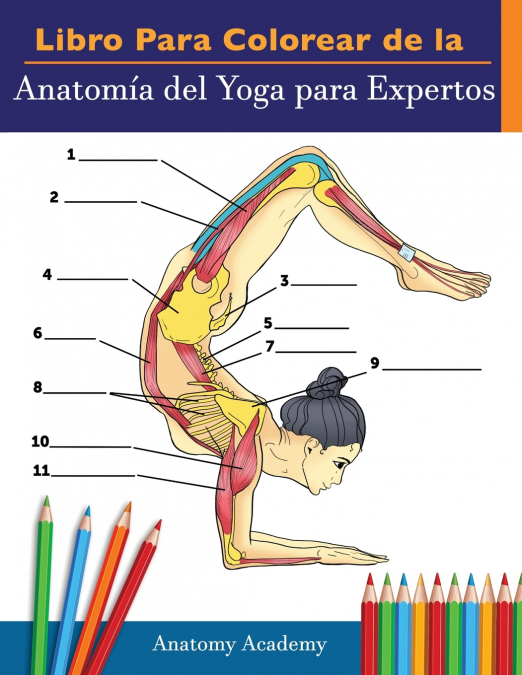 LIBRO PARA COLOREAR DE LA ANATOMIA DEL YOGA PARA EXPERTOS