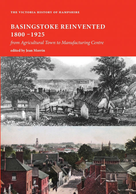 BASINGSTOKE REINVENTED