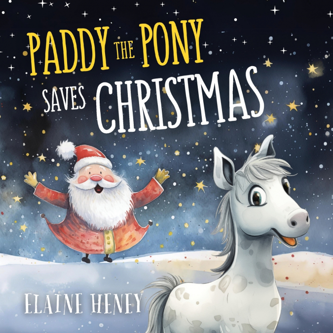 PADDY THE PONY SAVES CHRISTMAS