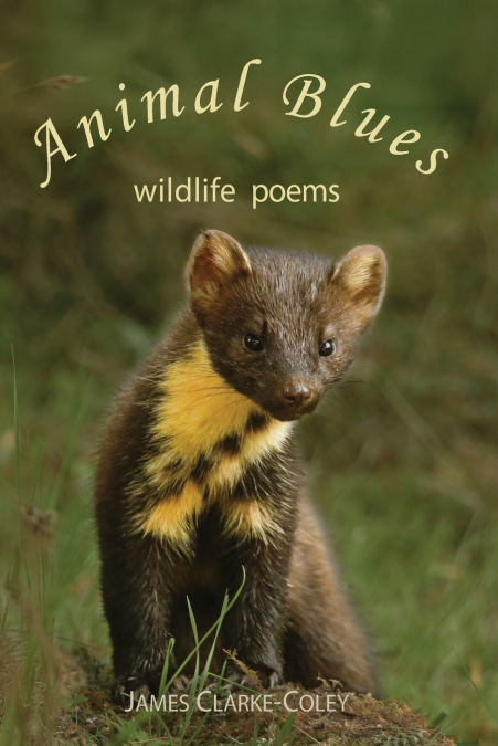 ANIMAL BLUES - WILDLIFE POEMS