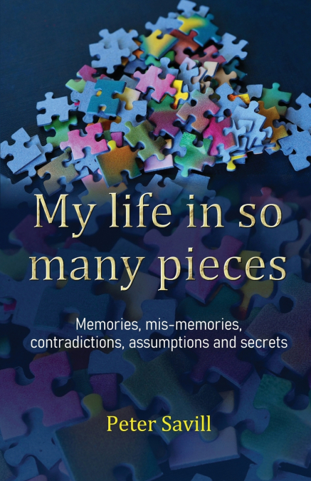 MY LIFE IN SO MANY PIECES