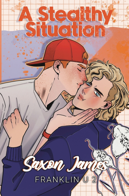 A STEALTHY SITUATION