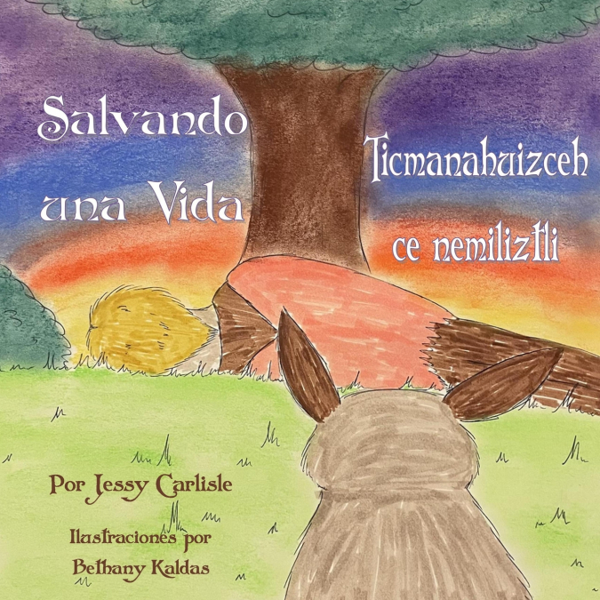 SAVING A LIFE / TICMANAHUIZCEH CE NEMILIZTLI