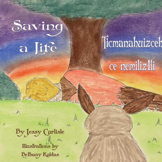 SAVING A LIFE / TICMANAHUIZCEH CE NEMILIZTLI