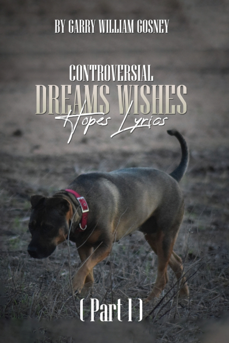 CONTROVERSIAL DREAMS WISHES HOPES LYRICS PART 1