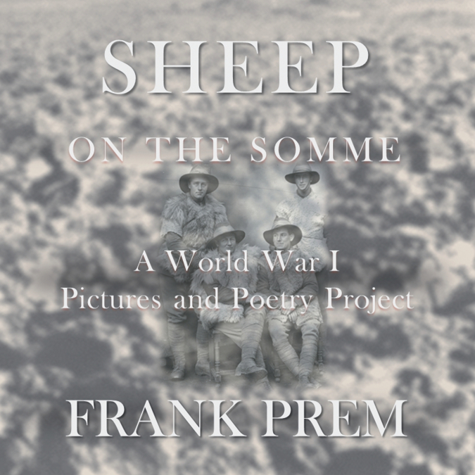 SHEEP ON THE SOMME