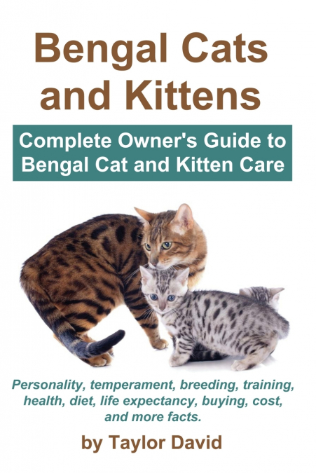 BENGAL CATS AND KITTENS