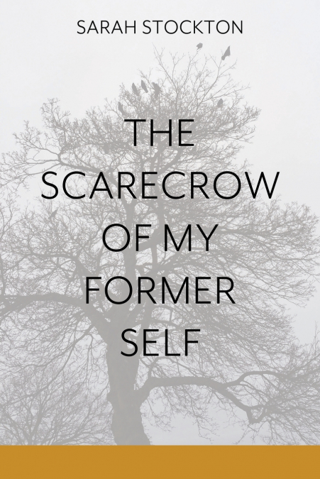 THE SCARECROW OF MY FORMER SELF