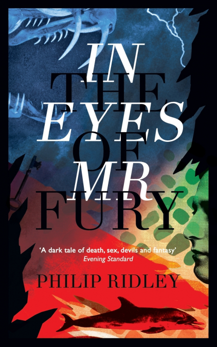 IN THE EYES OF MR FURY