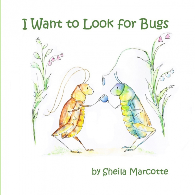 I WANT TO LOOK FOR BUGS