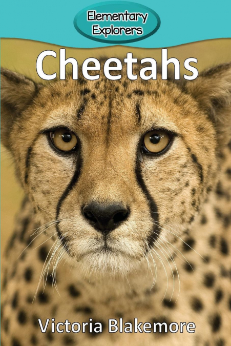 CHEETAHS