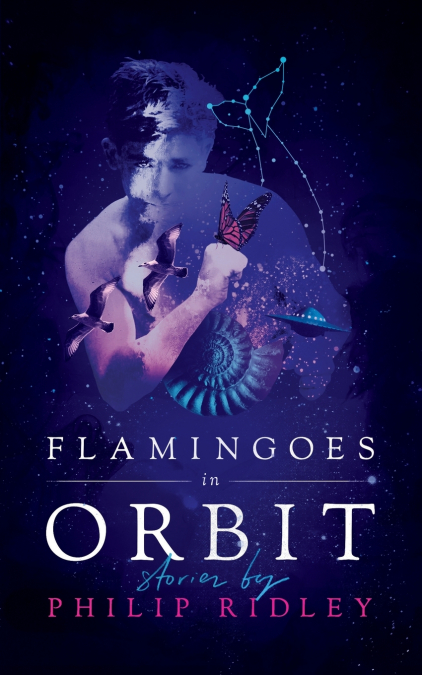 FLAMINGOES IN ORBIT