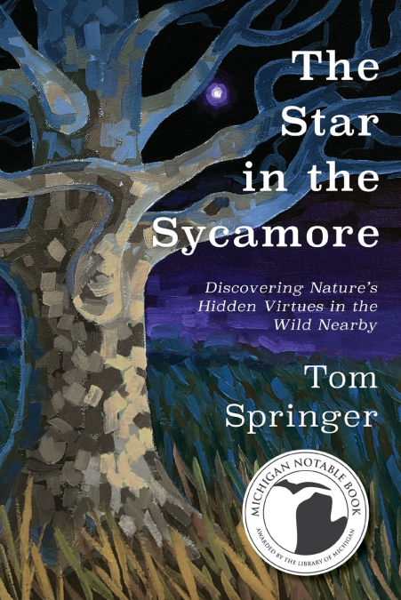 THE STAR IN THE SYCAMORE