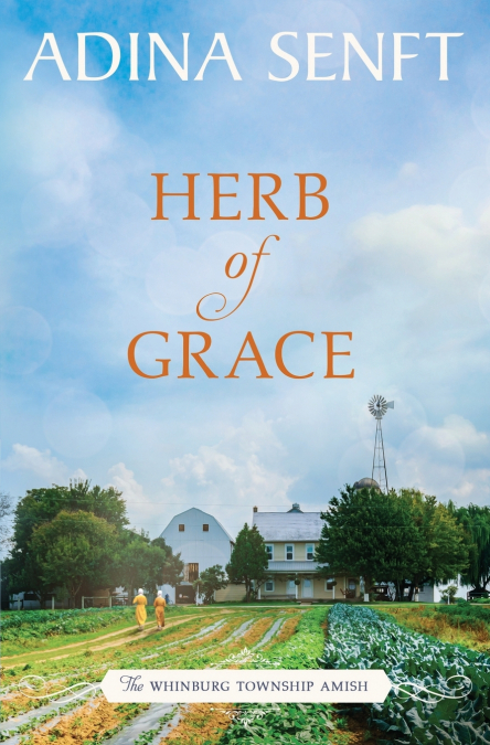 HERB OF GRACE