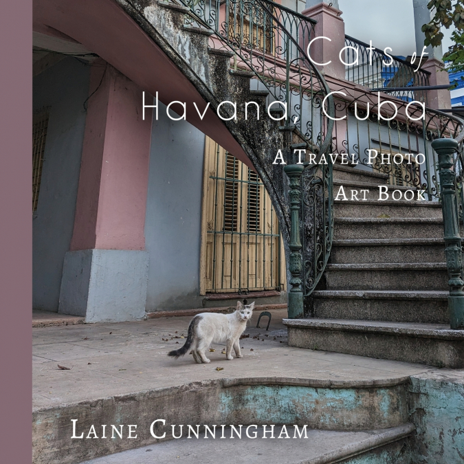 CATS OF HAVANA, CUBA