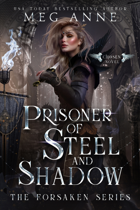 PRISONER OF STEEL AND SHADOW