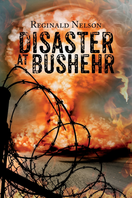 DISASTER AT BUSHEHR