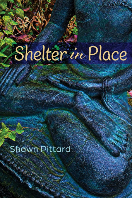 SHELTER IN PLACE