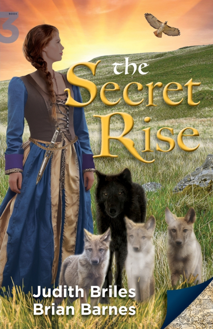 THE SECRET RISE