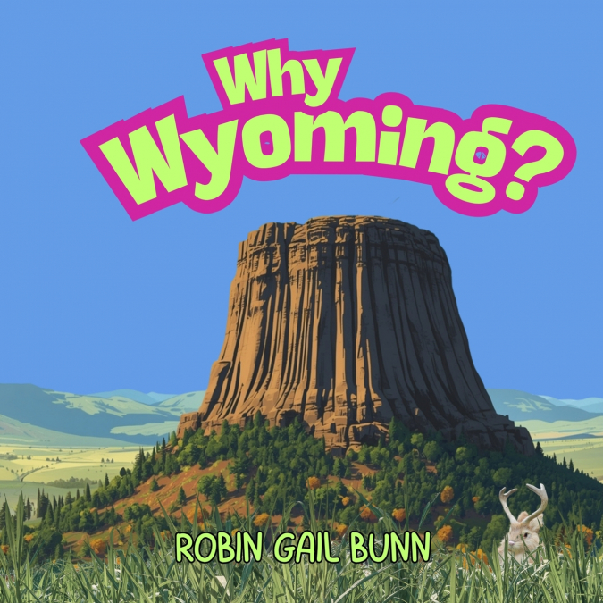 WHY WYOMING?