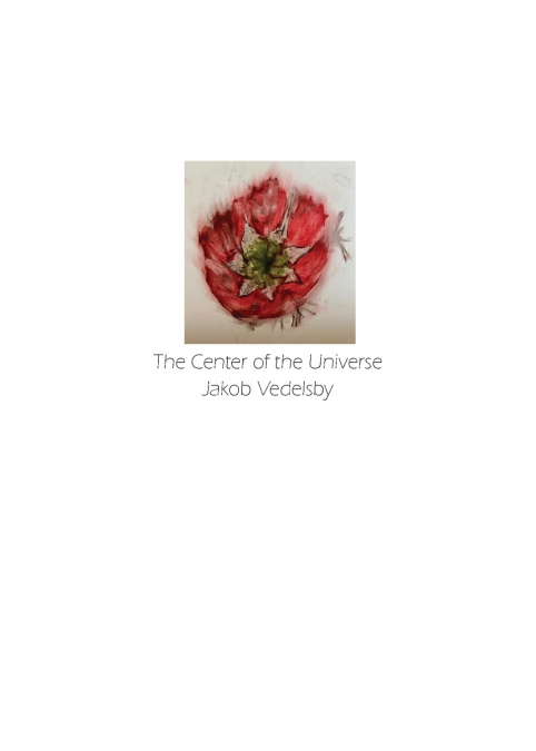 THE CENTER OF THE UNIVERSE