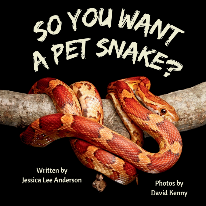 SO YOU WANT A PET SNAKE?