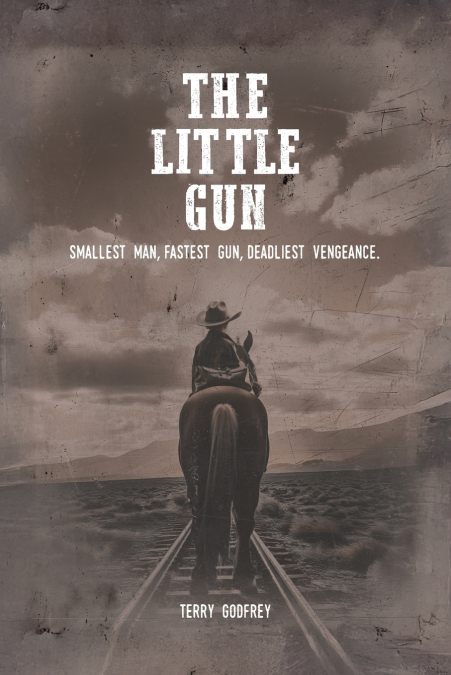 THE LITTLE GUN