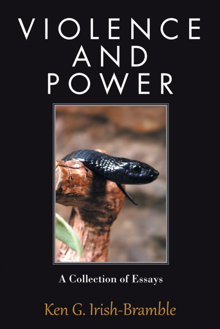 VIOLENCE AND POWER