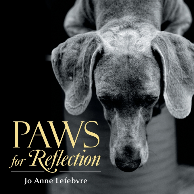 PAWS FOR REFLECTION