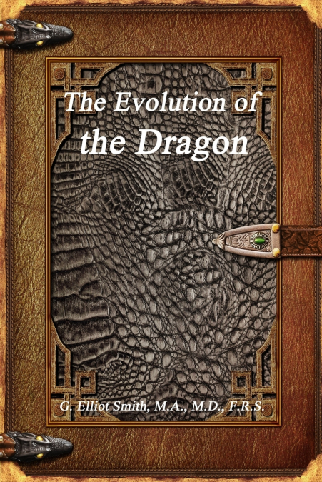 THE EVOLUTION OF THE DRAGON