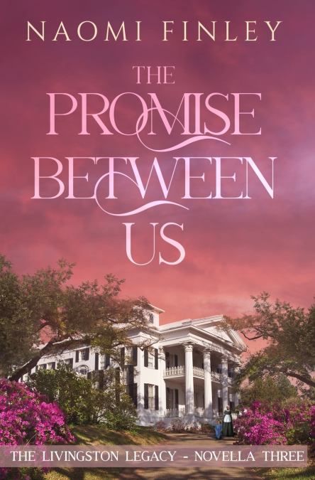 THE PROMISE BETWEEN US