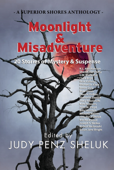 MOONLIGHT & MISADVENTURE